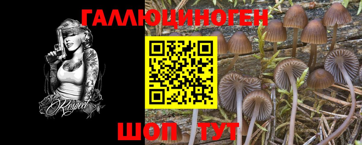 Киров  Галлюциногенные грибы ЛСД  Галлюциногенные грибы ЛСД  Вход с VPN 